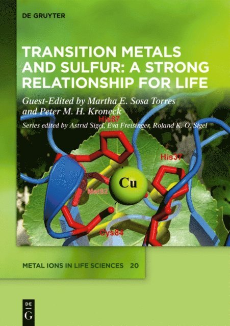 Peter Kroneck, Martha Sosa Torres - Transition Metals and Sulfur - A Strong Relationship for Life, E-bok