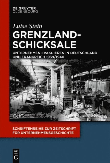 Luise Stein - Grenzlandschicksale, E-bok