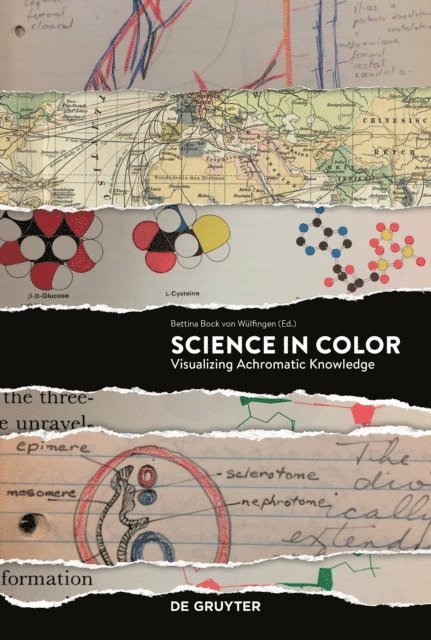 Bettina Bock von Wulfingen - Science in Color, E-bok