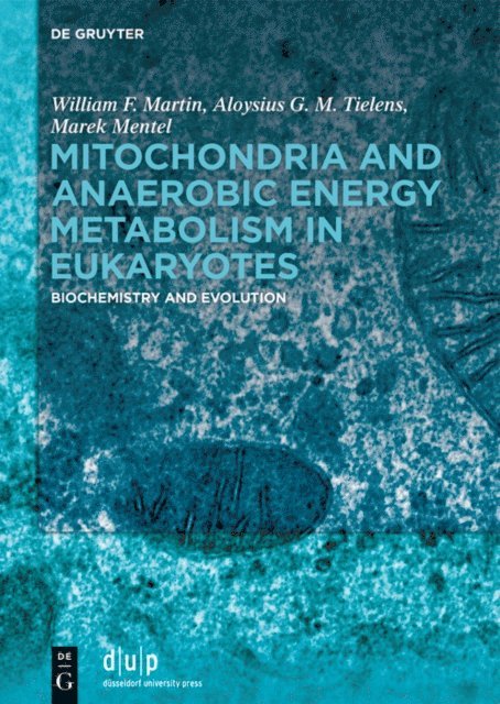 Marek Mentel, Aloysius G. M. Tielens, William F. Martin - Mitochondria and Anaerobic Energy Metabolism in Eukaryotes, E-bok