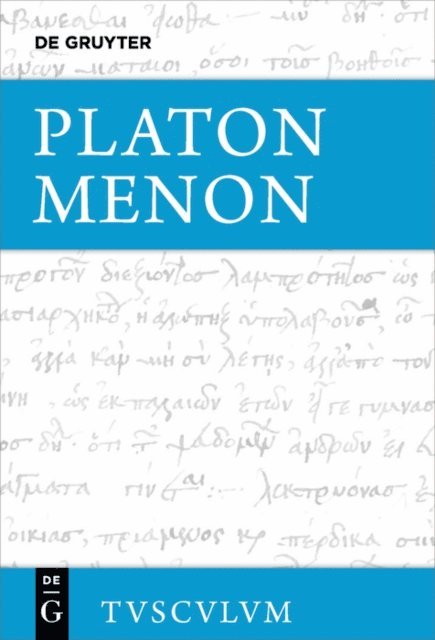 Platon, Theodor Ebert - Menon, E-bok