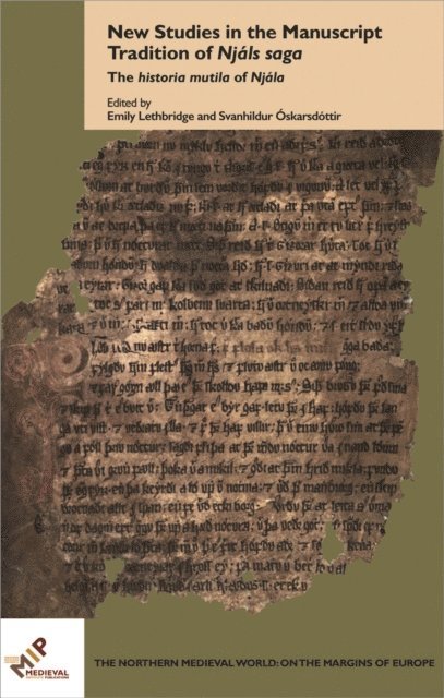 Emily Lethbridge, Svanhildur Oskarsdottir - New Studies in the Manuscript Tradition of Njals saga, E-bok