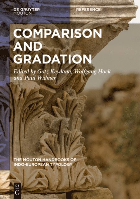 Paul Widmer, Wolfgang Hock, Gotz Keydana - Comparison and Gradation in Indo-European, E-bok