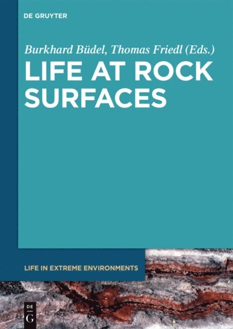 Thomas Friedl, Burkhard Budel - Life at Rock Surfaces, E-bok