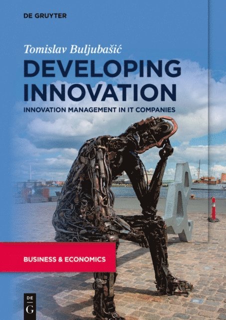 Tomislav Buljubasic - Developing Innovation, E-bok