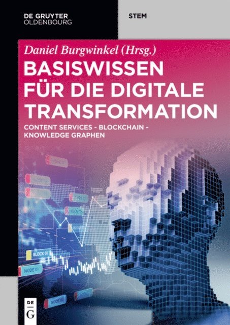 Daniel Burgwinkel - Basiswissen für die Digitale Transformation, E-bok