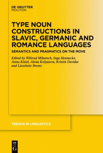 Lieselotte Brems, Kristin Davidse, Alena Kolyaseva, Anna Kisiel, Inga Hennecke, Wiltrud Mihatsch - Type Noun Constructions in Slavic, Germanic and Romance Languages, E-bok