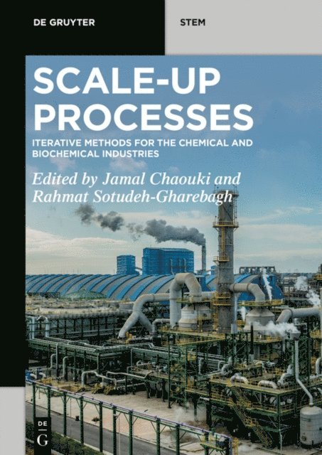 Rahmat Sotudeh-Gharebagh, Jamal Chaouki - Scale-Up Processes, E-bok