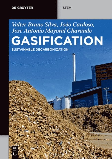 Antonio Chavando, Joao Cardoso, Valter Bruno Silva - Gasification, E-bok