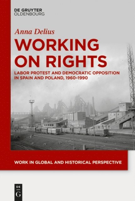 Anna Delius - Working on Rights, E-bok