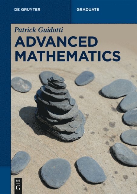 Patrick Guidotti - Advanced Mathematics, E-bok