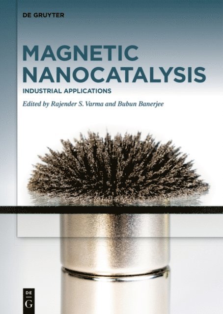 Bubun Banerjee, Rajender S. Varma - Industrial Applications, E-bok