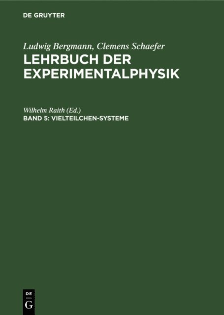 Wilhelm Raith - Vielteilchen-Systeme, E-bok
