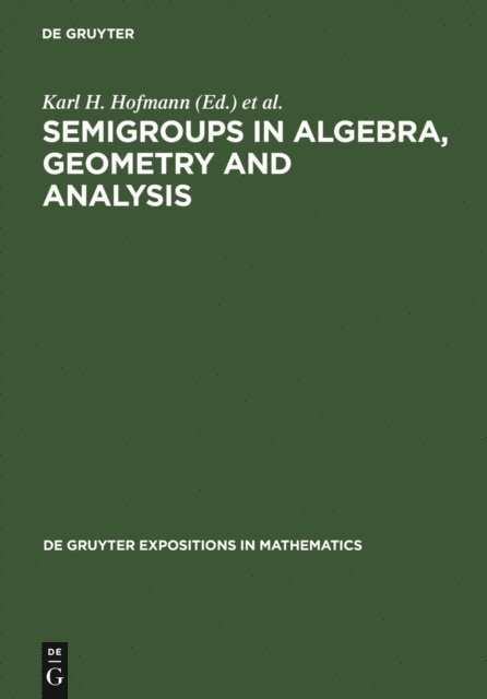 Ernest B. Vinberg, Jimmie D. Lawson, Karl H. Hofmann - Semigroups in Algebra, Geometry and Analysis, E-bok