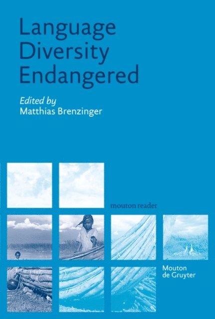 Matthias Brenzinger - Language Diversity Endangered, E-bok