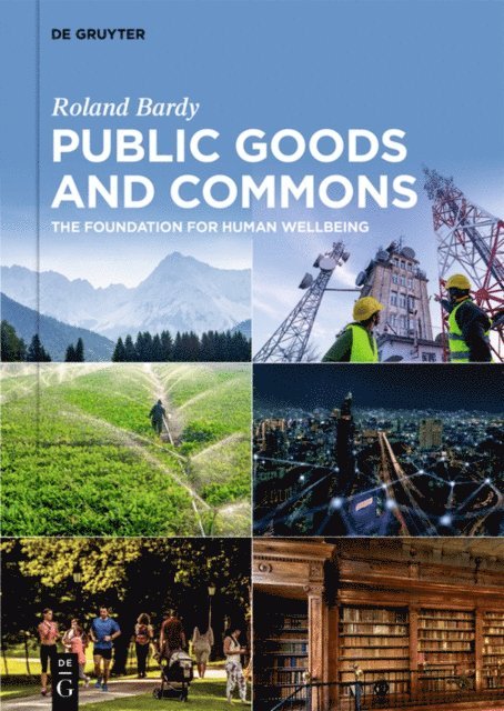 Roland Bardy - Public Goods and Commons, E-bok