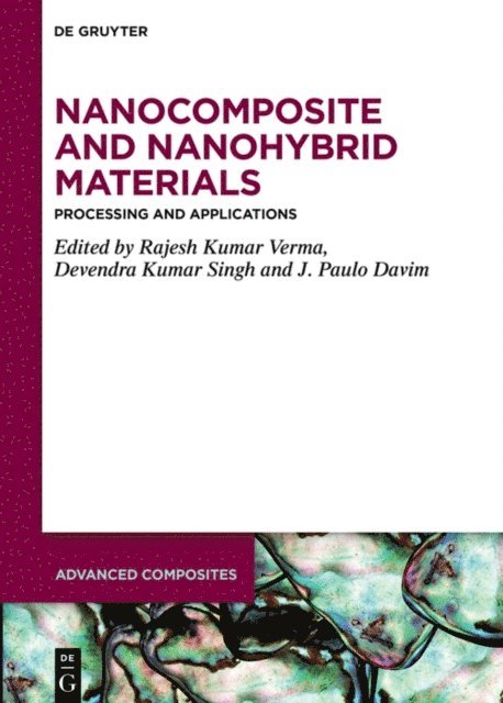 J. Paulo Davim, Devendra Kumar Singh, Rajesh Kumar Verma - Nanocomposite and Nanohybrid Materials, E-bok