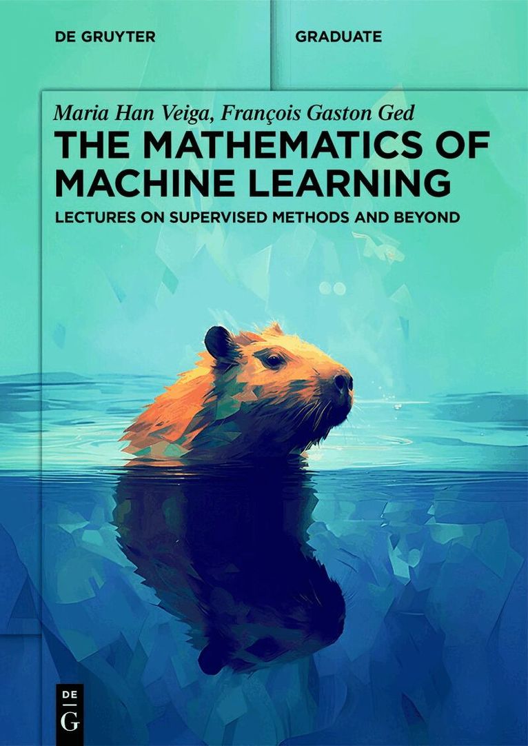 Maria Han Veiga, François Gaston Ged - Mathematics of Machine Learning, Häftad