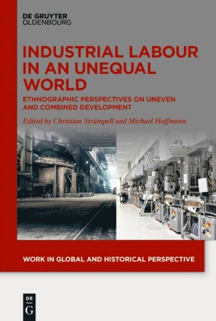 Michael Hoffmann, Christian Strumpell - Industrial Labour in an Unequal World, E-bok