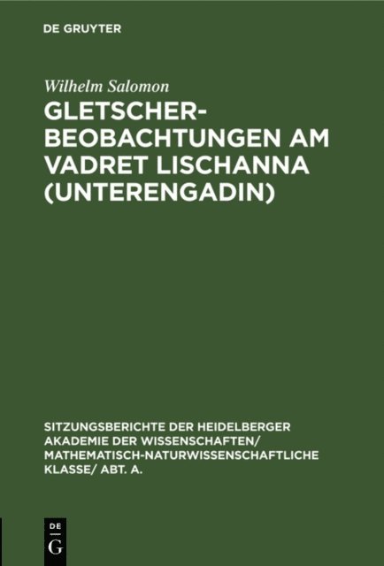 Wilhelm Salomon - Gletscherbeobachtungen am Vadret Lischanna (Unterengadin), E-bok