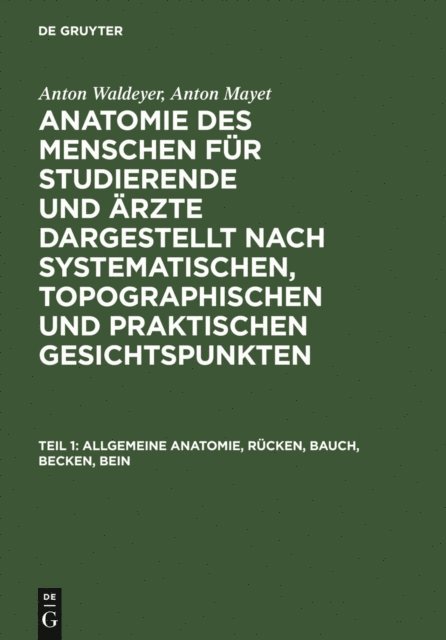 Anton Mayet, Anton Waldeyer - Allgemeine Anatomie, Rücken, Bauch, Becken, Bein, E-bok