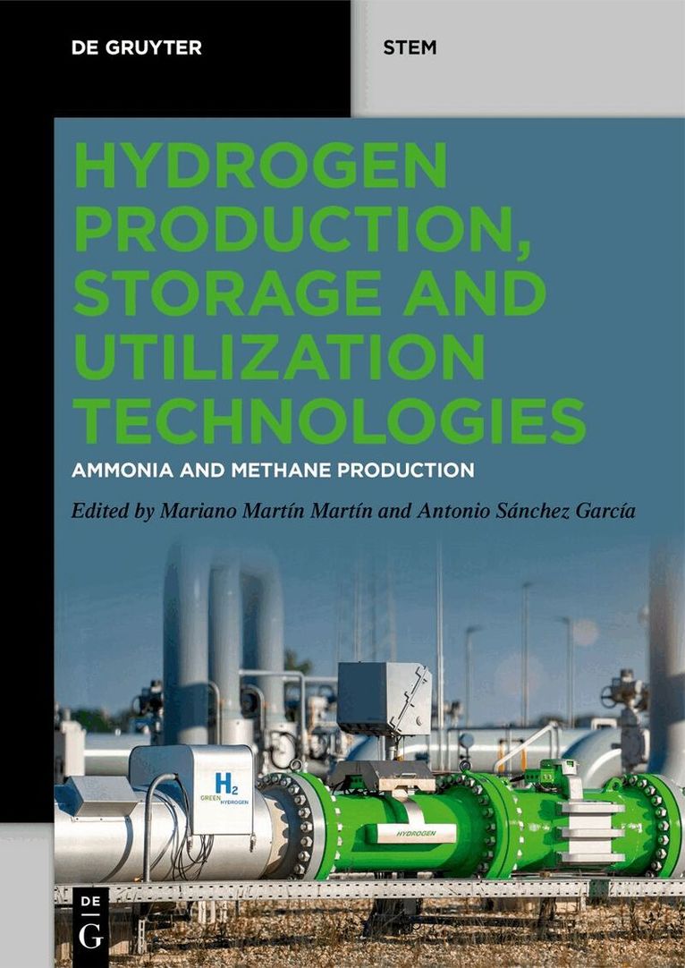 Mariano Martín Martín, Antonio Sánchez García - Hydrogen Production, Storage and Utilization Technologies, Häftad