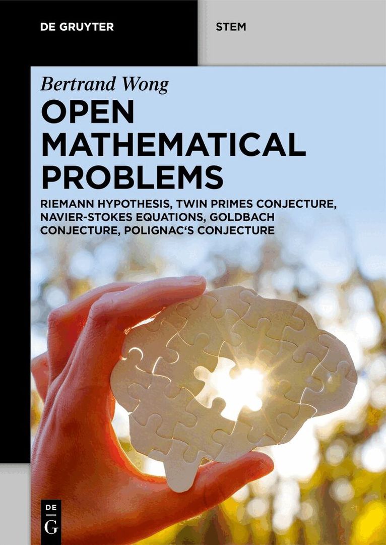 Bertrand Wong - Open Mathematical Problems, Häftad