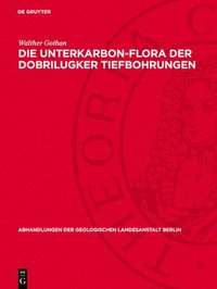 Die Unterkarbon-Flora Der Dobrilugker Tiefbohrungen