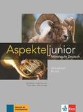 Aspekte junior B1 plus. bungsbuch mit Audio-Dateien zum Download