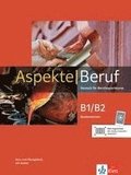 Aspekte Beruf B1/B2 Brckenelement