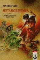 P. Ovidius Naso: Metamorphoses