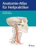 Anatomie-Atlas für Heilpraktiker