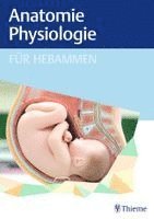 Anatomie und Physiologie für Hebammen, Inbunden