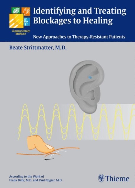 Beate Strittmatter - Identifying and Treating Blockages to Healing, E-bok