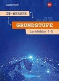IT-Berufe. Schulbuch. Grundstufe 1. Jahr.  Lernfelder 1-5