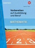 Vorbereiten auf Ausbildung und Beruf. Mathematik Schlerband