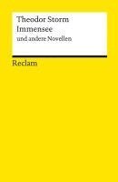 Theodor Storm - Immensee und andere Novellen, Häftad