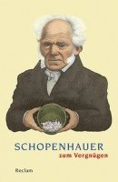 Ludger Lütkehaus - Schopenhauer zum Vergnügen, Häftad