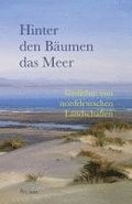 Hinter den Bumen das Meer