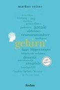 Gehirn. 100 Seiten