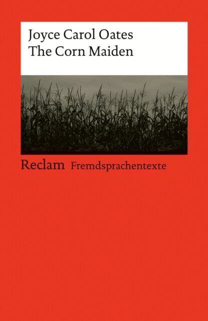 Valerio Vial - Grammatisches Lernlexikon Italienisch, E-bok