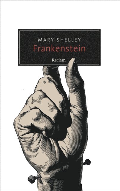 Mary Shelley - Frankenstein oder Der moderne Prometheus, E-bok
