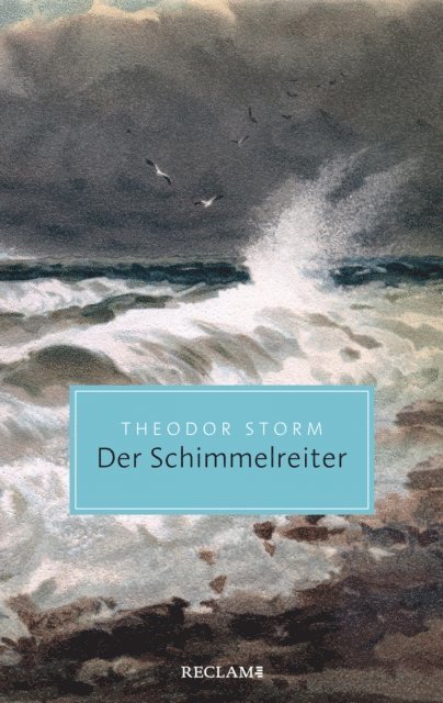 Theodor Storm - Der Schimmelreiter, E-bok