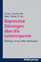 Arnd Barocka, Christoph Fehr - Depressive Storungen Uber Die Lebensspanne: Atiologie, Diagnostik Und Therapie, Häftad. Tillgänglighet: Tillfälligt slut