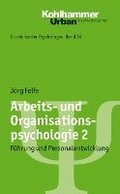 Arbeits- Und Organisationspsychologie 2: Fuhrung Und Personalentwicklung