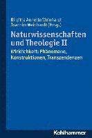 Birgitta Annette Weinhardt, Joachim Weinhardt - Naturwissenschaften Und Theologie II: Wirklichkeit: Phanomene, Konstruktionen, Transzendenzen, Häftad