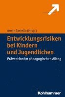 Entwicklungsrisiken Bei Kindern Und Jugendlichen: Pravention Im Padagogischen Alltag