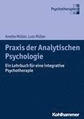 Praxis Der Analytischen Psychologie: Ein Lehrbuch Fur Eine Integrative Psychotherapie