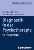 Diagnostik in Der Psychotherapie: Ein Praxisleitfaden
