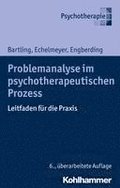 Problemanalyse Im Psychotherapeutischen Prozess: Leitfaden Fur Die Praxis